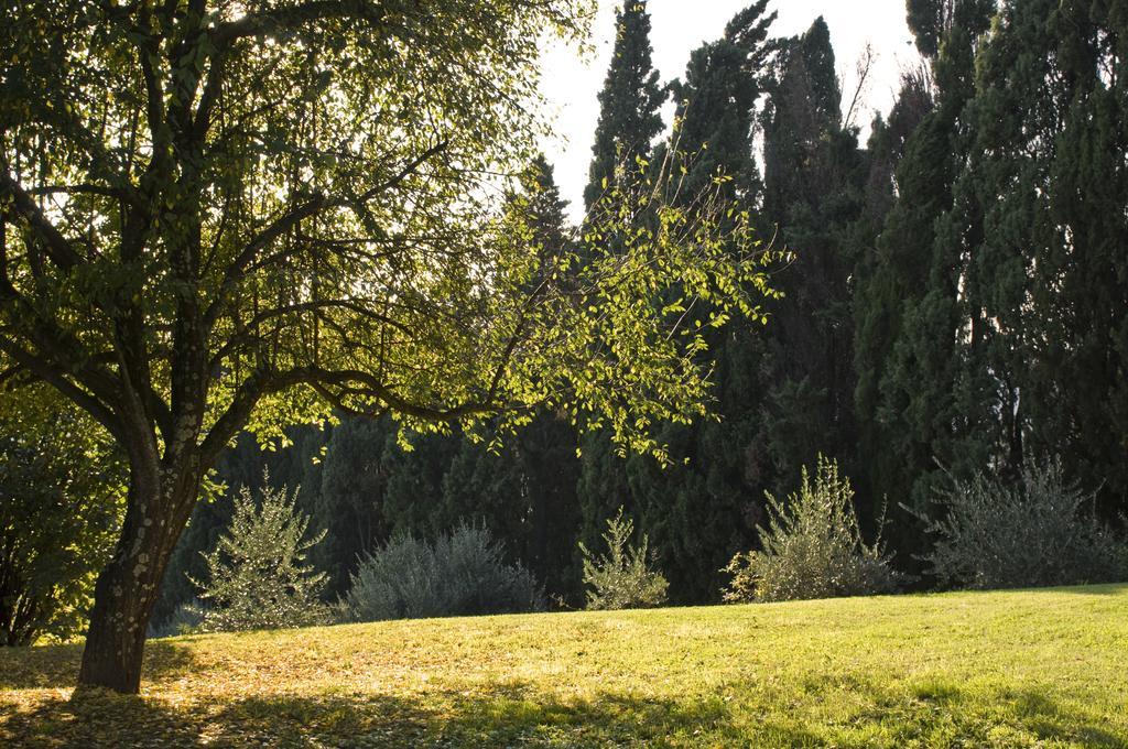 Villa Montaperti Monteaperti  部屋 写真