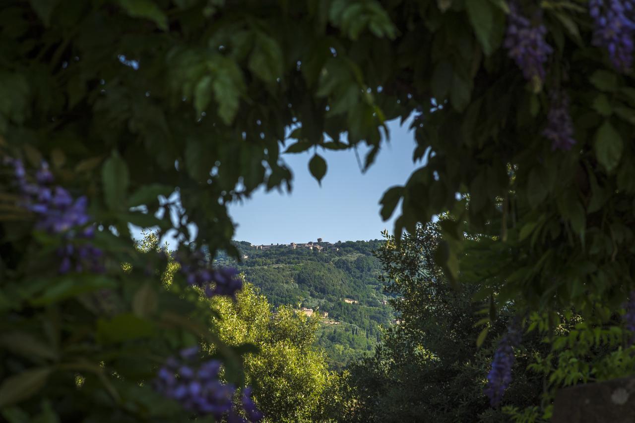 Villa Montaperti Monteaperti  エクステリア 写真